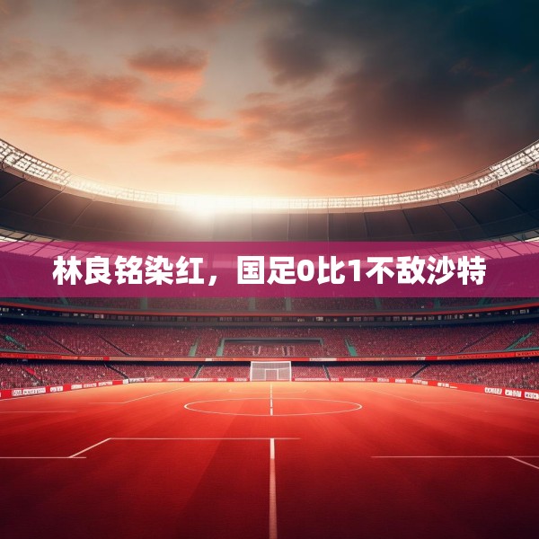 林良铭染红，国足0比1不敌沙特