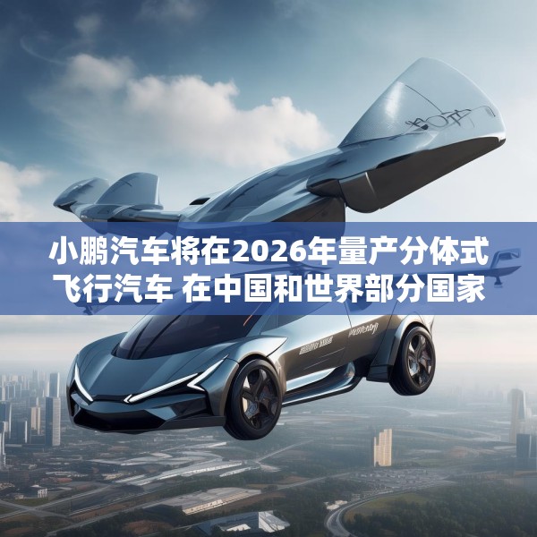 2025年3月23日 第12页