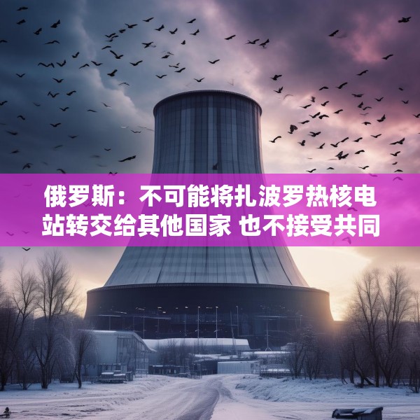俄罗斯：不可能将扎波罗热核电站转交给其他国家 也不接受共同运营