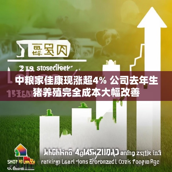 中粮家佳康现涨超4% 公司去年生猪养殖完全成本大幅改善