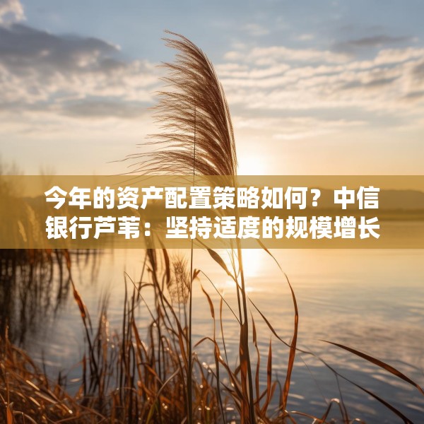 今年的资产配置策略如何？中信银行芦苇：坚持适度的规模增长，重在优化结构