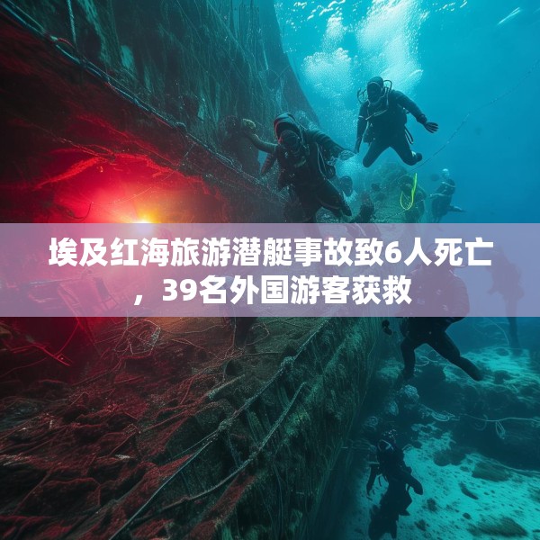 埃及红海旅游潜艇事故致6人死亡，39名外国游客获救