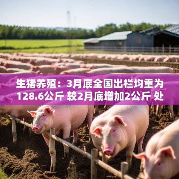 生猪养殖：3月底全国出栏均重为128.6公斤 较2月底增加2公斤 处于2022年以来的最高水平