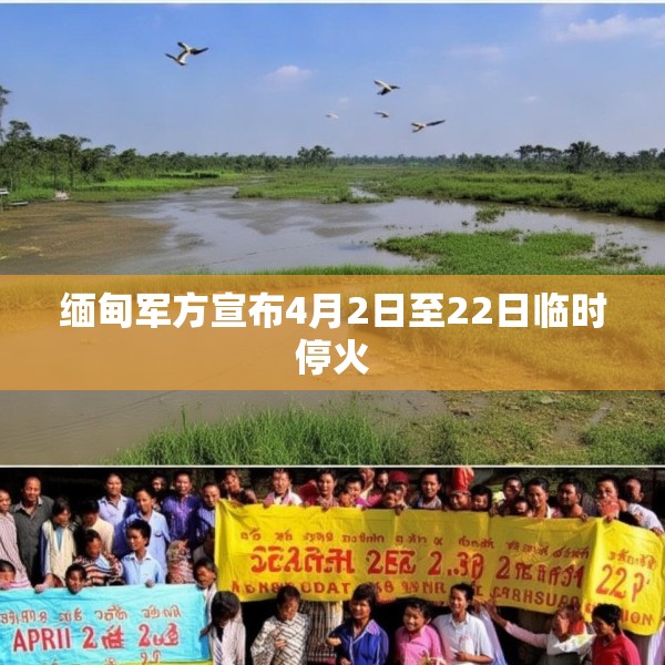 缅甸军方宣布4月2日至22日临时停火