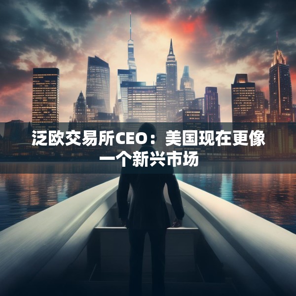 泛欧交易所CEO：美国现在更像一个新兴市场