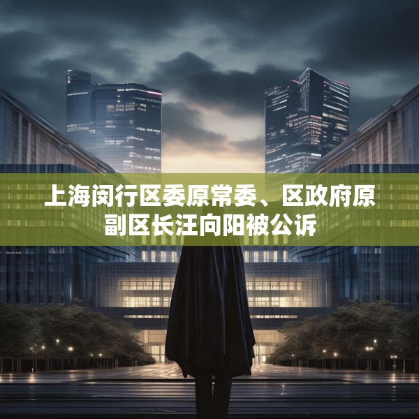 上海闵行区委原常委、区政府原副区长汪向阳被公诉