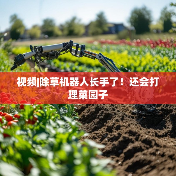 视频|除草机器人长手了！还会打理菜园子