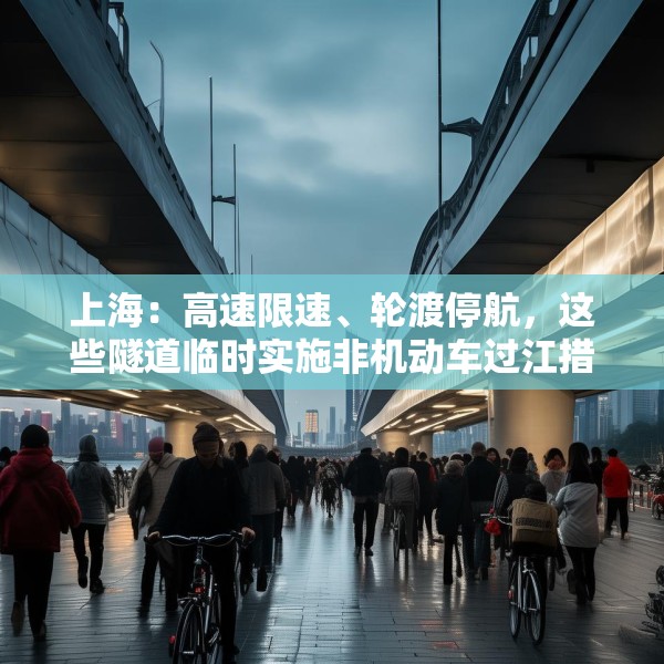 上海：高速限速、轮渡停航，这些隧道临时实施非机动车过江措施
