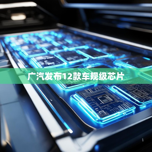 广汽发布12款车规级芯片