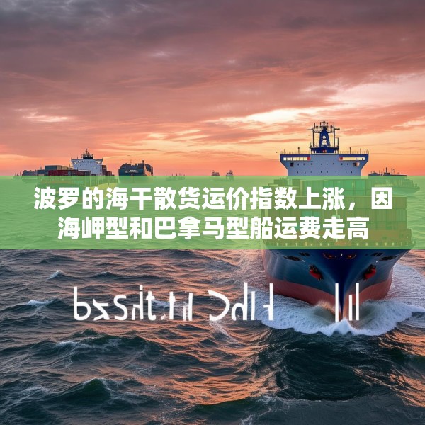 波罗的海干散货运价指数上涨，因海岬型和巴拿马型船运费走高