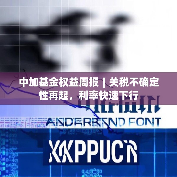 中加基金权益周报︱关税不确定性再起，利率快速下行