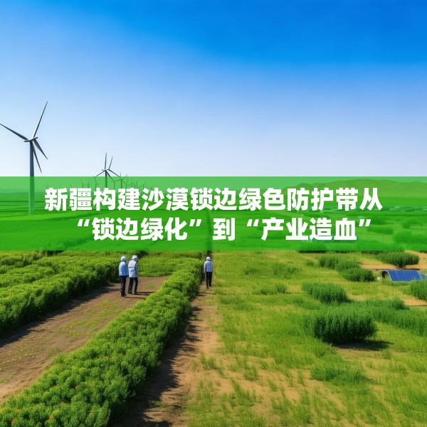 新疆构建沙漠锁边绿色防护带从“锁边绿化”到“产业造血”