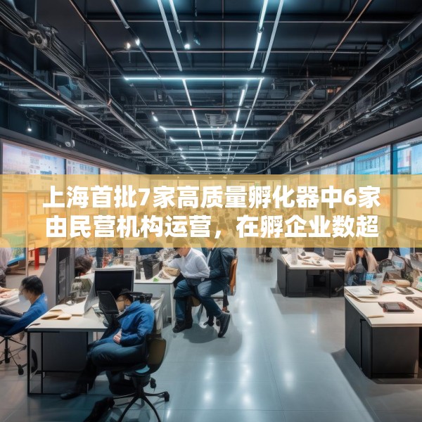 上海首批7家高质量孵化器中6家由民营机构运营，在孵企业数超200家