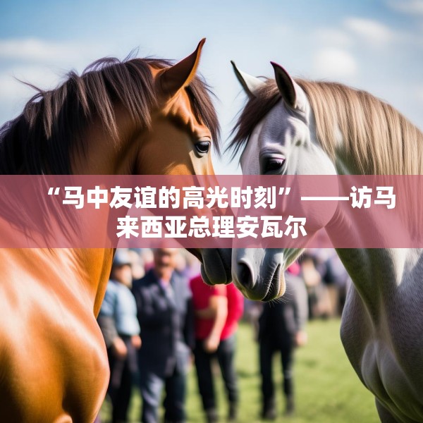 “马中友谊的高光时刻”——访马来西亚总理安瓦尔
