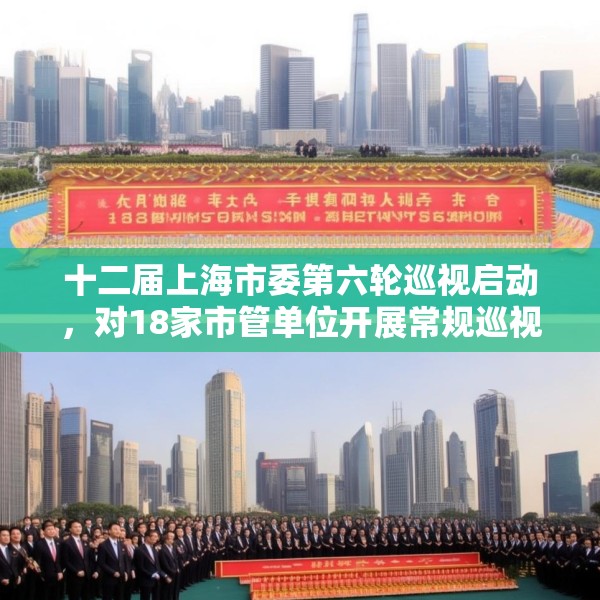 十二届上海市委第六轮巡视启动，对18家市管单位开展常规巡视