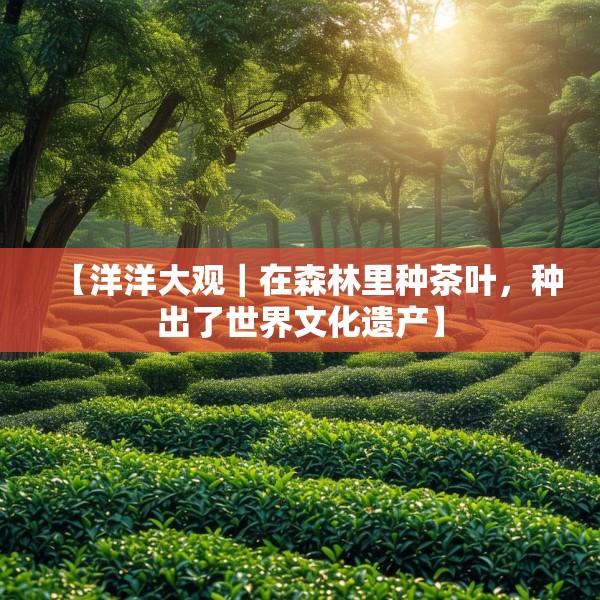 【洋洋大观｜在森林里种茶叶，种出了世界文化遗产】