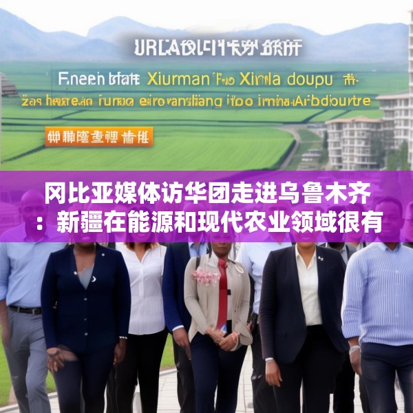 冈比亚媒体访华团走进乌鲁木齐：新疆在能源和现代农业领域很有借鉴意义