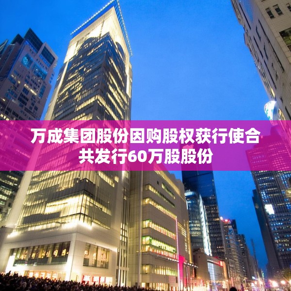 万成集团股份因购股权获行使合共发行60万股股份