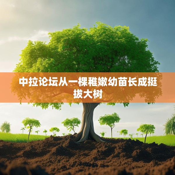 中拉论坛从一棵稚嫩幼苗长成挺拔大树