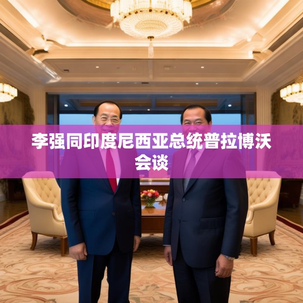 李强同印度尼西亚总统普拉博沃会谈