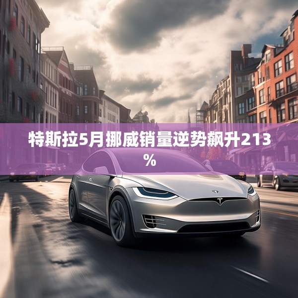 特斯拉5月挪威销量逆势飙升213%