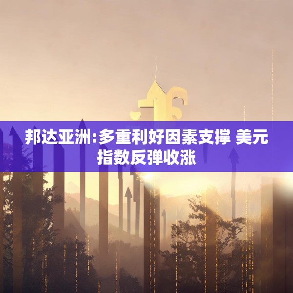 邦达亚洲:多重利好因素支撑 美元指数反弹收涨