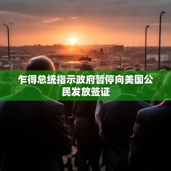 乍得总统指示政府暂停向美国公民发放签证