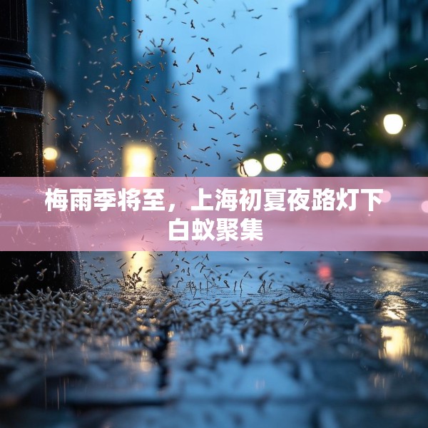 梅雨季将至，上海初夏夜路灯下白蚁聚集