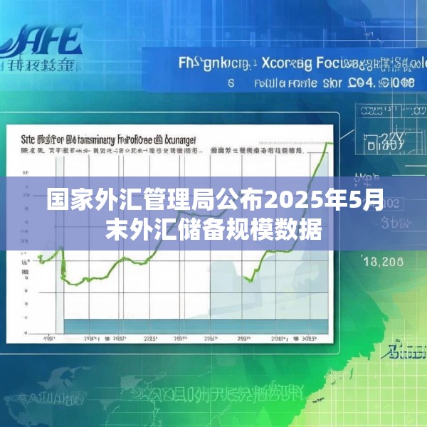 国家外汇管理局公布2025年5月末外汇储备规模数据