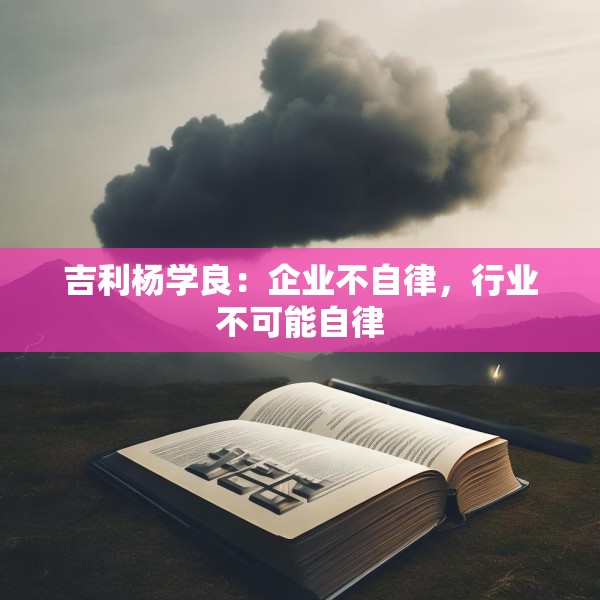 吉利杨学良：企业不自律，行业不可能自律