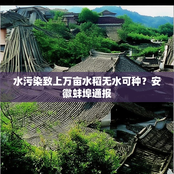 水污染致上万亩水稻无水可种？安徽蚌埠通报
